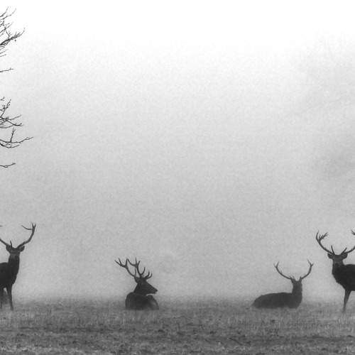 Photo #8918726