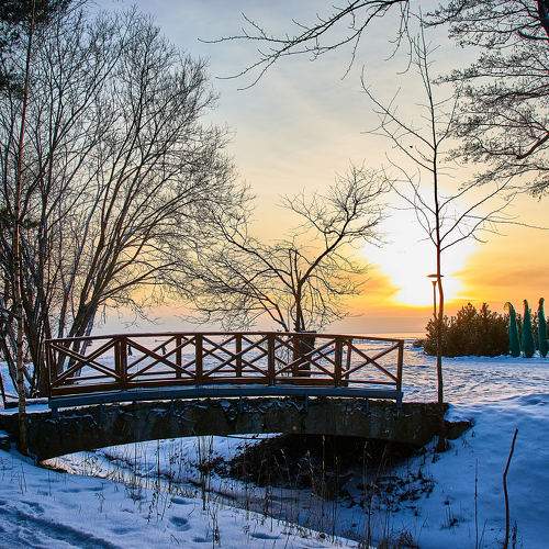 Photo #8918924
