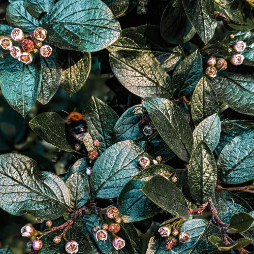 Photo #8919102