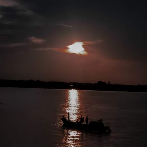 Photo #8919148