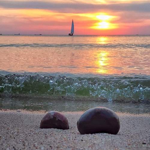 Photo #8919171