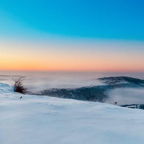 Photo #8919294
