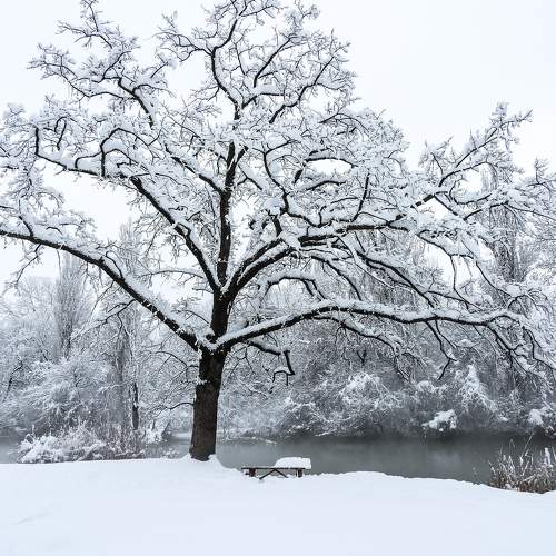 Photo #8919411