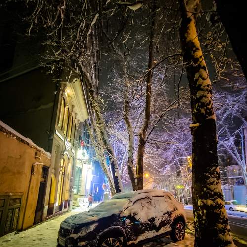 Photo #8919454