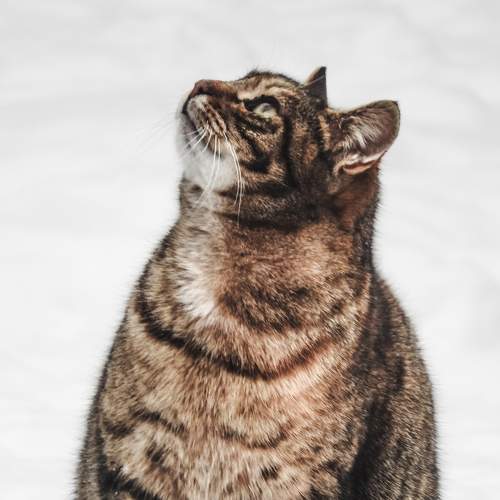 Photo #8919503