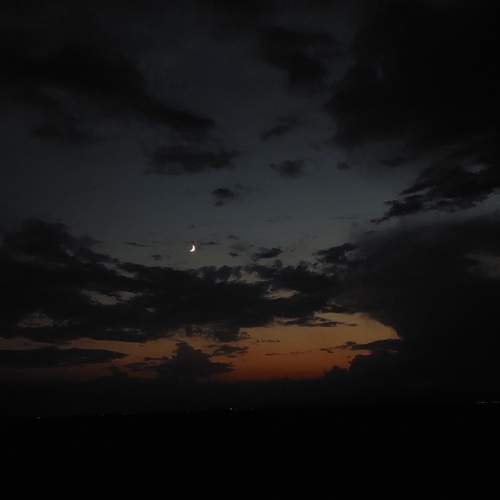 Photo #8919585