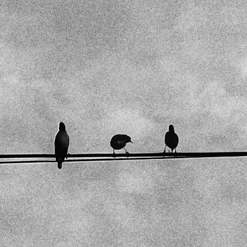Photo #8919604