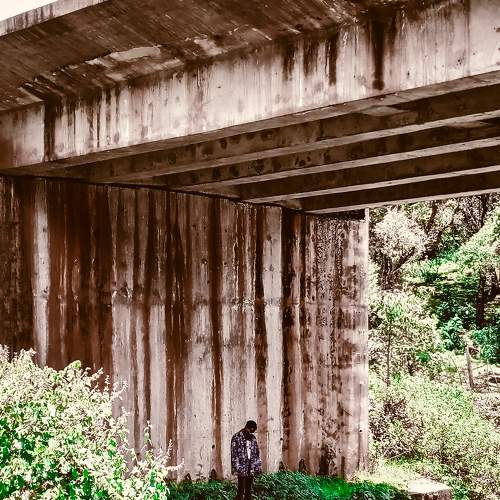 Photo #8919647