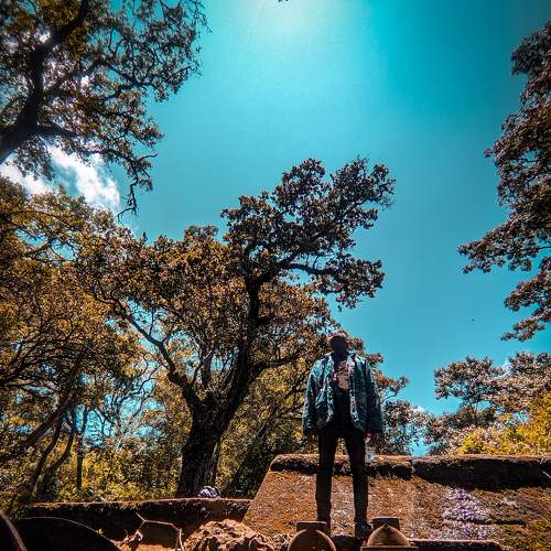 Photo #8919688