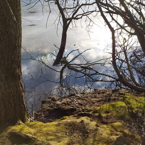 Photo #8919743