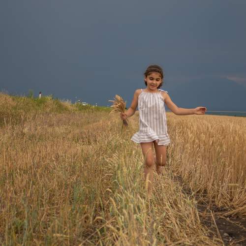Photo #8919758