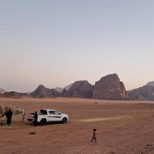Photo #8919810