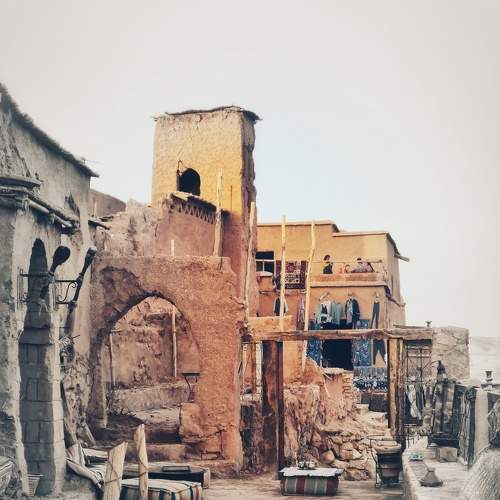 Photo #8919842