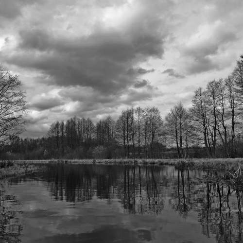 Photo #8920059
