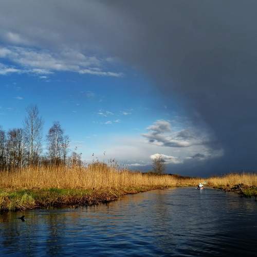 Photo #8920089