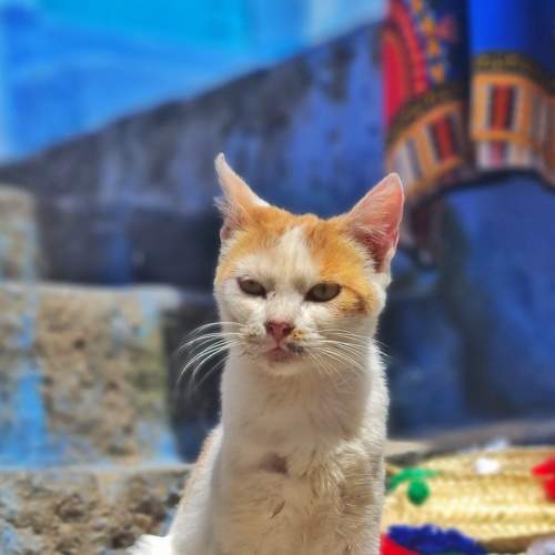 Photo #8920216