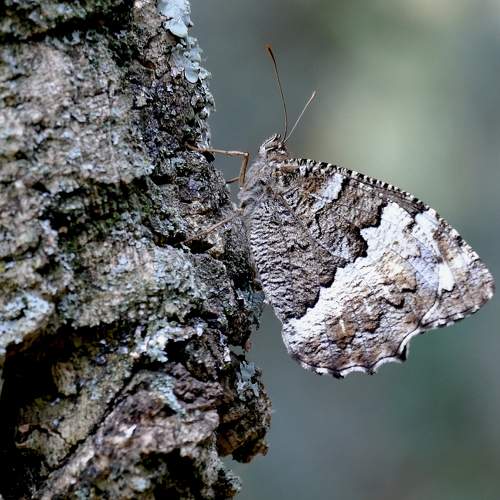 Фотография #8920376