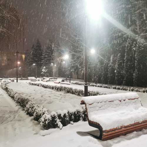 Photo #8920550