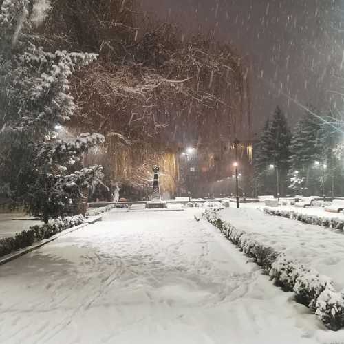 Photo #8920551