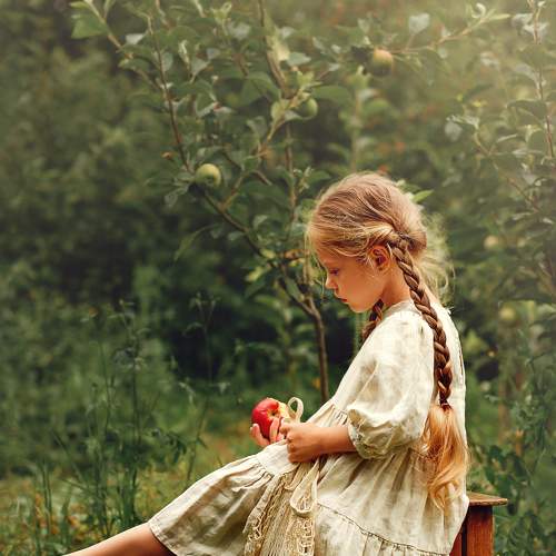 Photo #8920586