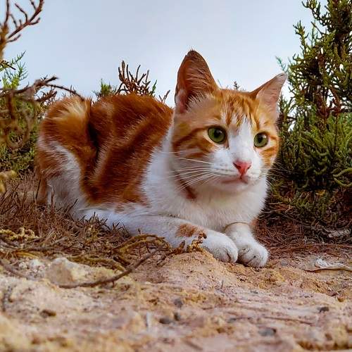 Photo #8920609