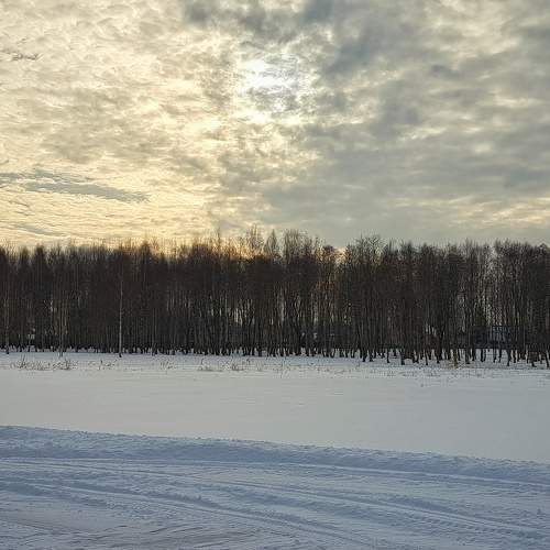 Photo #8920680
