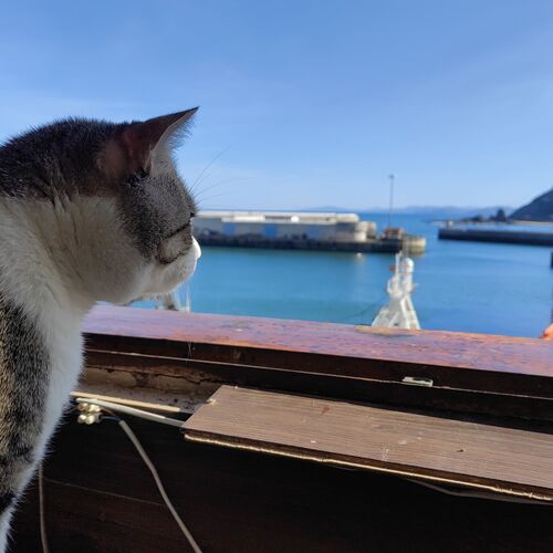 Photo #8920817