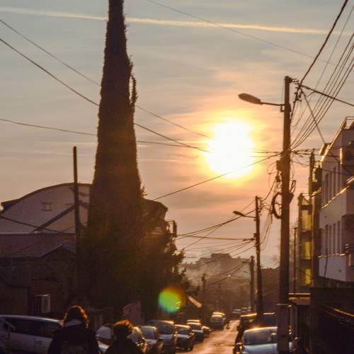 Photo #8920829