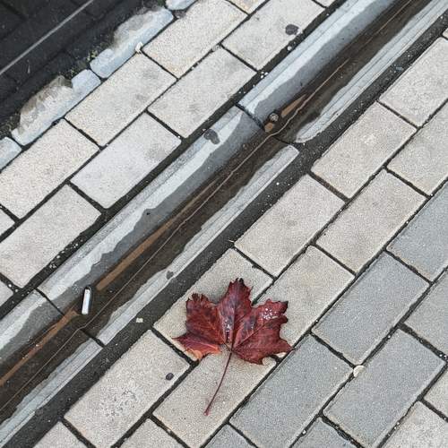Photo #8921048