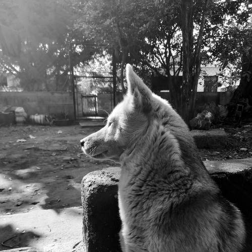 Photo #8921284