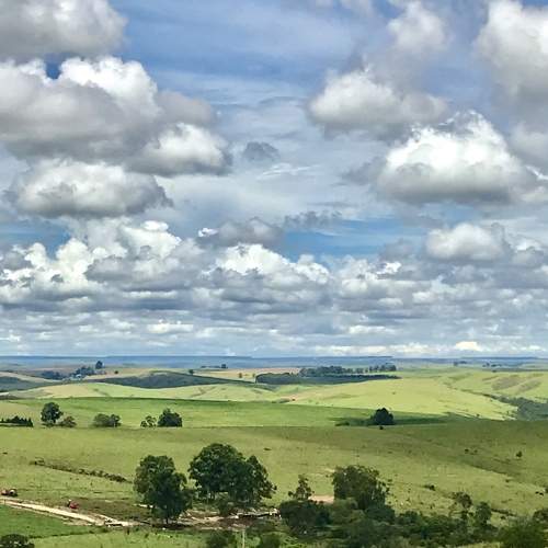 Mundo rural