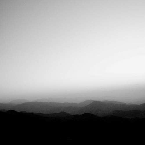 Photo #8921543