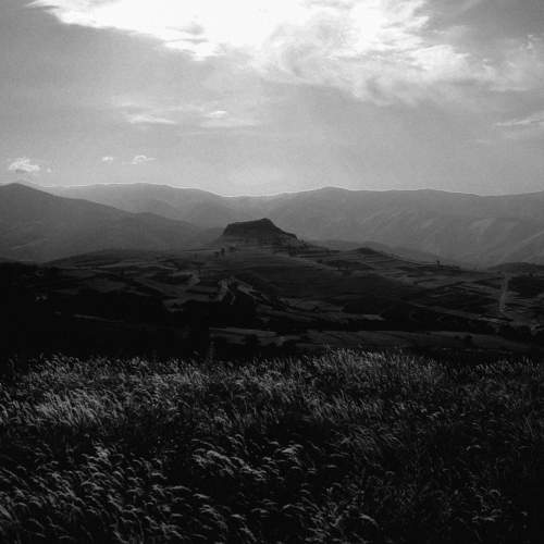 Photo #8921588