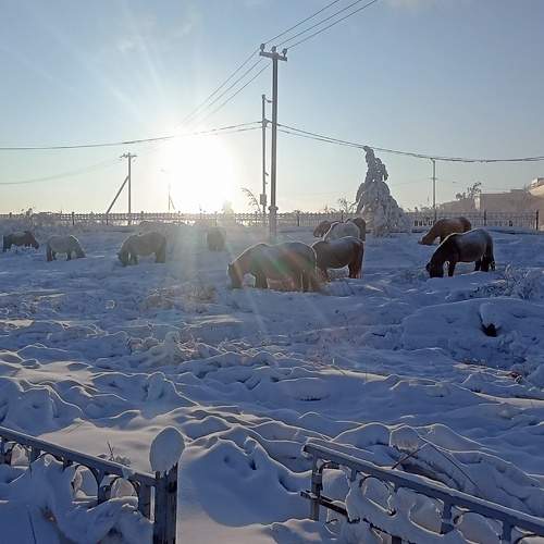 Photo #8921637