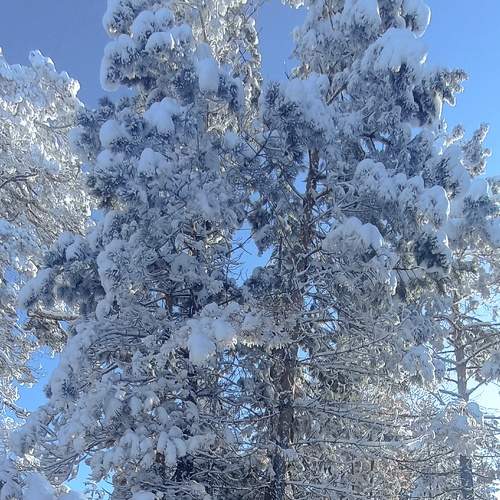 Photo #8921638