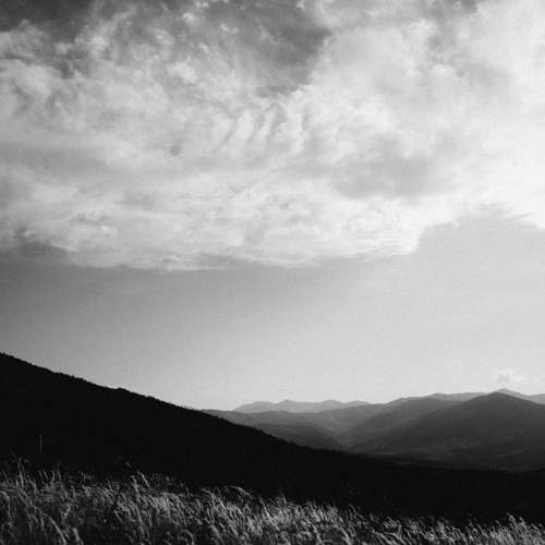 Photo #8921649