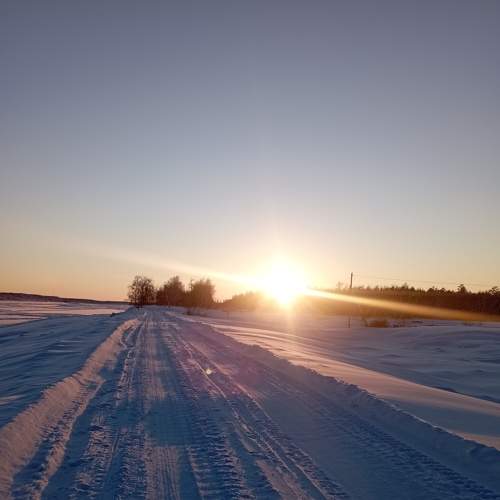 Photo #8921660