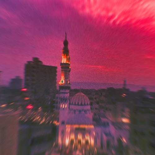 Photo #8921869