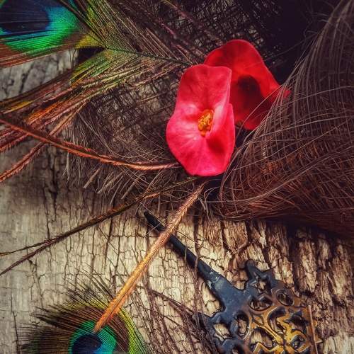 Photo #8921891