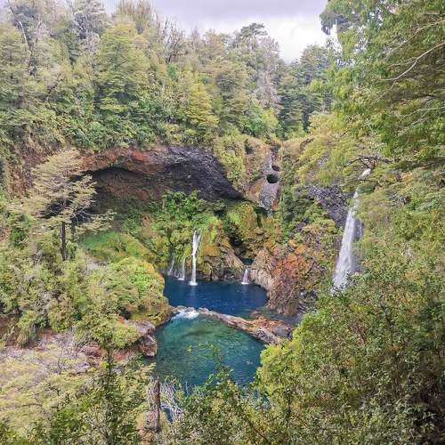 Photo #8922064