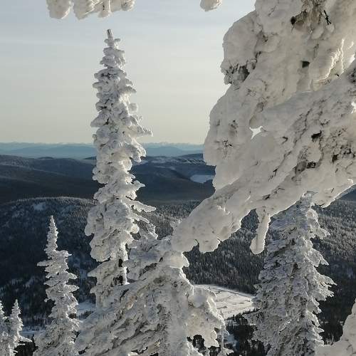 Photo #8922068