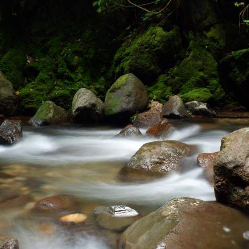 Photo #8922244