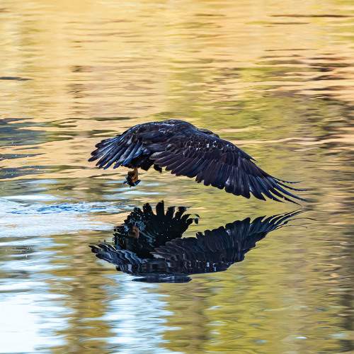 Photo #8922543