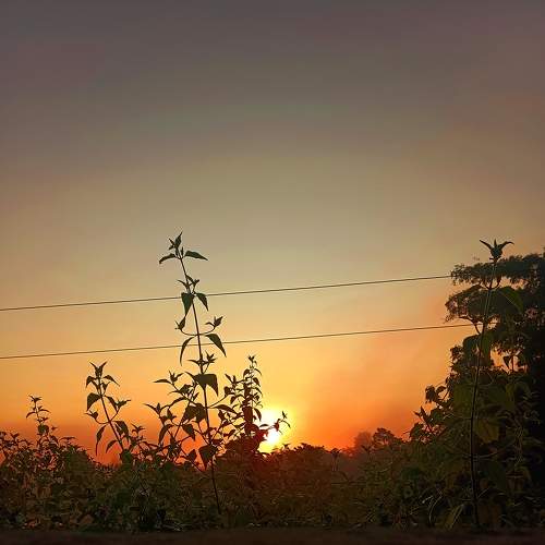 Photo #8922643