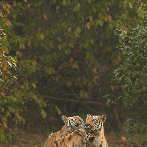 Photo #8922845