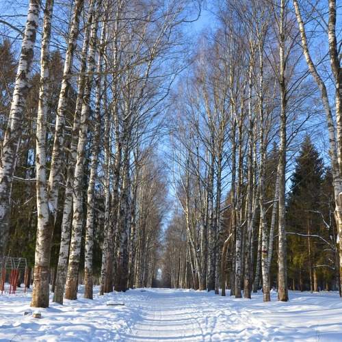 Photo #8922894