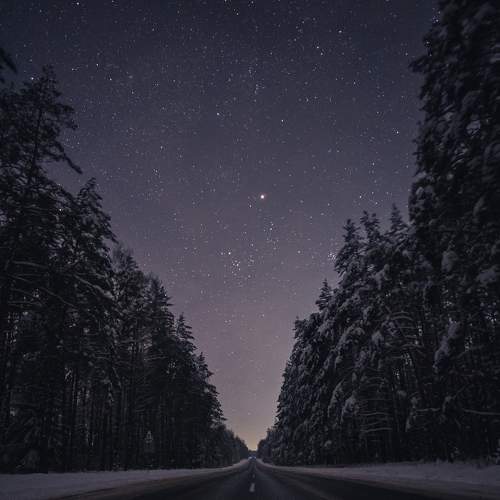 Photo #8923262