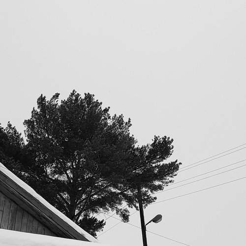 Photo #8923290