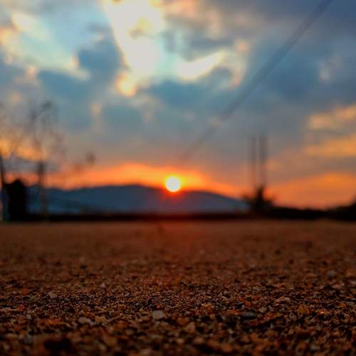 Photo #8923534
