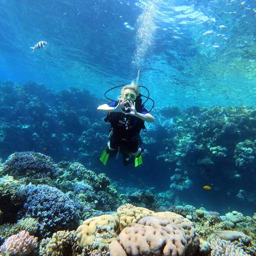 Photo #8923610